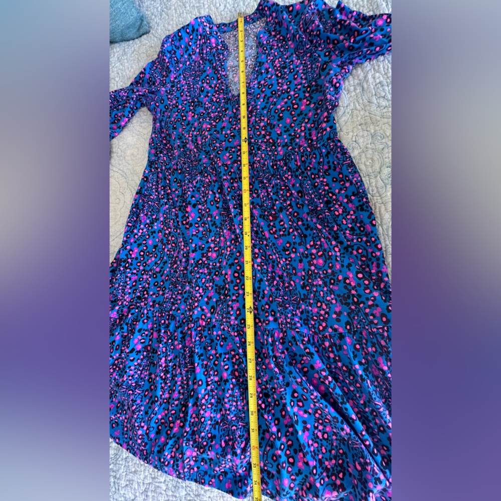 Lilly Pulitzer Alaina Blue Flare Growl & Prowl Dress - Picture 11 of 16